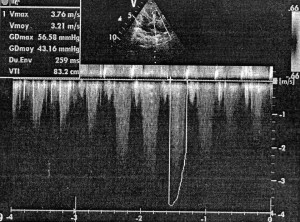 صورة الأشعة
